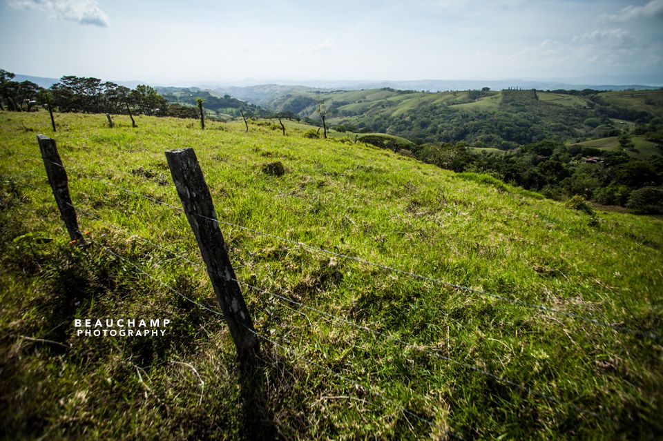 The drive from La Fortuna to Santa Elena was simply picturesque with its rolling pastoral hills.