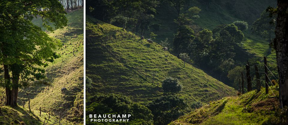 Rolling pastoral hills of Costa Rica.