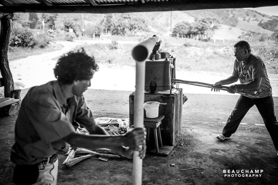 We stopped on the rocky road from Arenal to Monteverde at a little place where they show tourists the old school way of extracting sugar cane juice. 