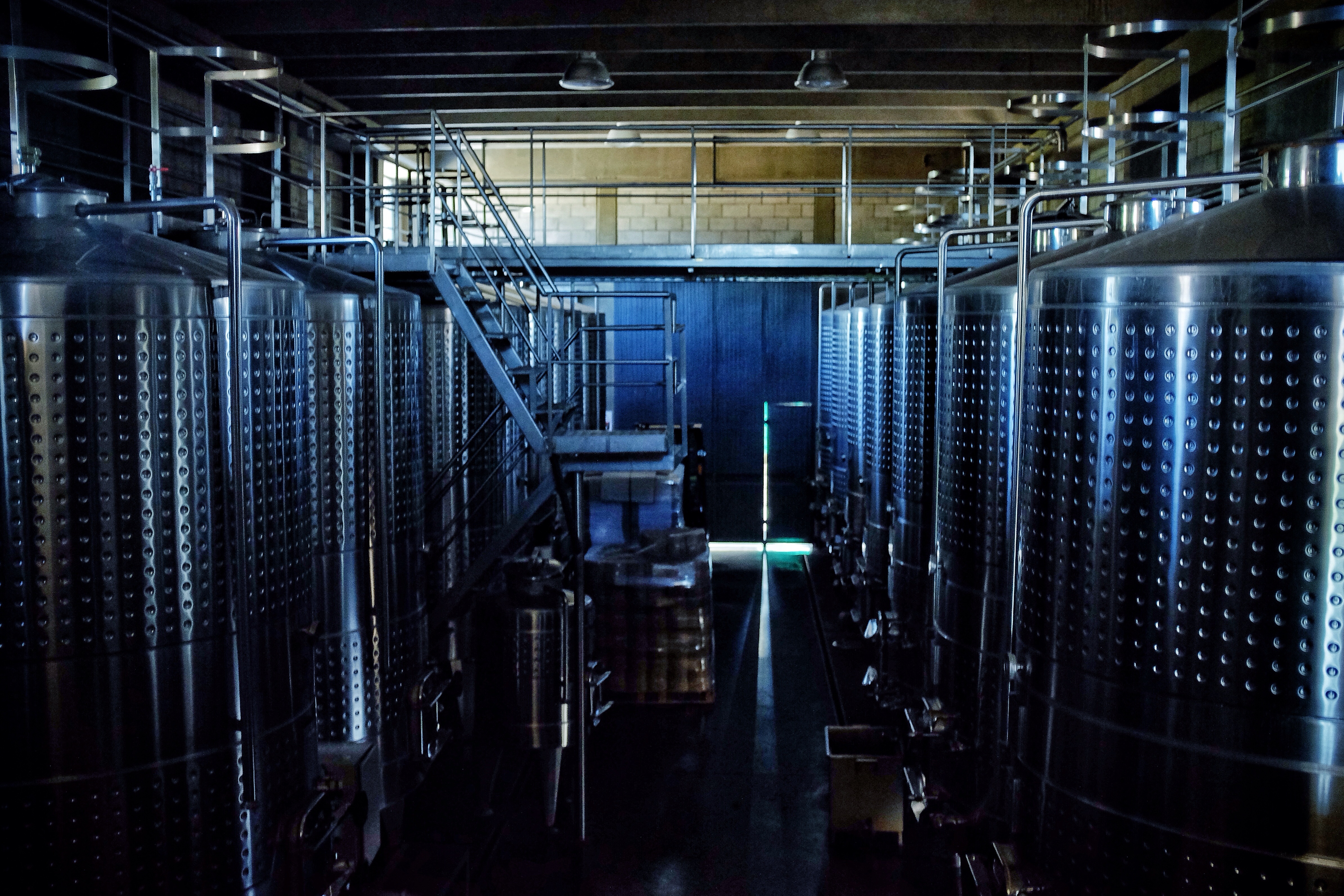 The industrial-scale vats at Tempus Alba.